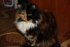 IMG_9155.thumb.JPG.a2d780c0693bd41e2226a