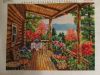 IMG_9905.thumb.JPG.2f9fbf382aa5d4c6a30fd