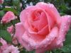 KnvpIeX-8mI.thumb.jpg.9ae7dc6118d284d1b3