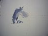 P1080414.thumb.JPG.039cdef823ddb7a4624cf