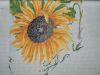 RSCN3566.thumb.JPG.9aaf61f04b2dcbbf33b51