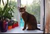SAM_3922.thumb.JPG.7de99bffc9ef2b0004775