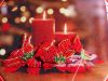 SDC16372.thumb.JPG.80efe985c191dad379901