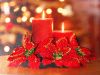 SDC16382.thumb.JPG.a1ca59927433016e52b28
