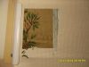 SDC17109.thumb.JPG.5ed29f989a5d994a7d03e