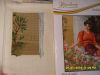 SDC17112.thumb.JPG.dbaae48700d24dd2b6070
