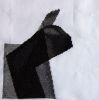 _IMG_4347.thumb.jpg.846a179c077830692965