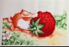 _IMG_4410.thumb.jpg.2f7026cd95e29018d6b7
