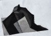 _IMG_4419.thumb.jpg.91ba2eefd1a752eb7550