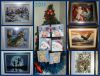 collage11.thumb.jpg.4b4e9bfe6f6240f8cbdd