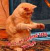 image.thumb.jpeg.1e3b1872fee607cdc4b9487