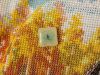 image.thumb.jpeg.2d3ef3bb1be73116a08be71