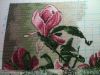 image.thumb.jpeg.4eb2a7ac4d49866d667bc26