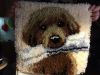 image.thumb.jpeg.53915a65301de693a8c02ff
