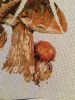 image.thumb.jpeg.640bfeb32cb64698bceccb0