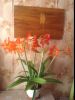 image.thumb.jpeg.73aa068e09604d0a69f0279