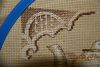 image.thumb.jpeg.a7131ff16f2441dd5e8ad38