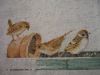 image.thumb.jpeg.aed70faef9833101d6c8383