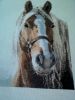image.thumb.jpg.d439c2b43ec4ff0c682b81c6