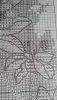 yn6xTTEAp_s.thumb.jpg.111d512ac9928584ca
