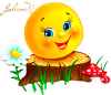 02641643db9bt.thumb.png.91f0cee540f4d101