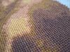 1.thumb.JPG.0a22397b1b463af0e346c65bddbe