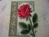 1.thumb.JPG.83375b96abc347790ebc3fbafec4