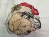 12.thumb.jpeg.703c4c7a57f7d125a3ac5709b1