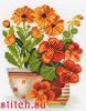 15175.thumb.jpg.32b10a329ab9ec9b86b38f4c