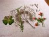 160122-02-1.thumb.jpg.492852577217efd4c2