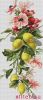 19404.thumb.jpg.9cf29b6c9d39e5e98d22160a