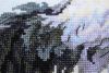 2.thumb.JPG.de95949f5adc866f3bd8d89cd30b