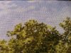 2.thumb.JPG.eada5bf263ae4090ca4ddd85236e