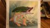 2.thumb.jpg.db1625ce6abb5f07404d74241696