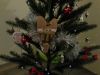 20160113_202613.thumb.jpg.809168db70f8c9