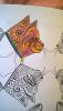 20160202025742.thumb.jpg.ecf783b8cee2f47
