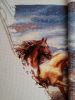 20160202_121055.thumb.JPG.f55d5b50383502