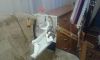 20160208_165837.jpg