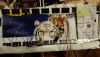 20160214_035028.thumb.jpg.72f67bc812630f