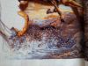 20160216_131349.thumb.jpg.6772ba7d9dc756
