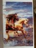 20160216_131513.thumb.jpg.5cdd810af0c4a4