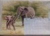20160216_204924.thumb.jpg.271a50f450f969