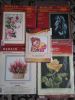 20160217_115002.thumb.jpg.794e1fd69b3fac