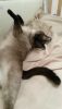 20160217_232621_LLS.thumb.jpg.fa6a8b2ff1