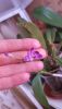 20160220_111712.thumb.jpg.c3612029416afd