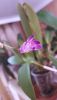20160220_111728.thumb.jpg.f1d395994e7df0