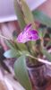 20160220_111732.thumb.jpg.8cb6f453d0d4f7