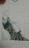 20160220_183937.jpg