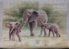 20160221_193613.thumb.jpg.1b57d97497e7ed