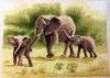 20160221_212201.thumb.jpg.ab2353981af362